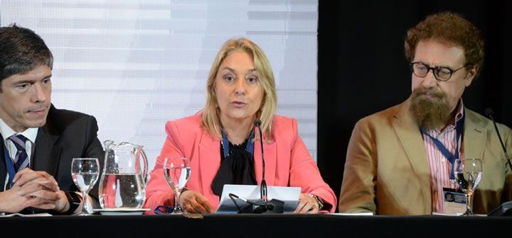 El Proyecto de la Multisectorial entró al Senado