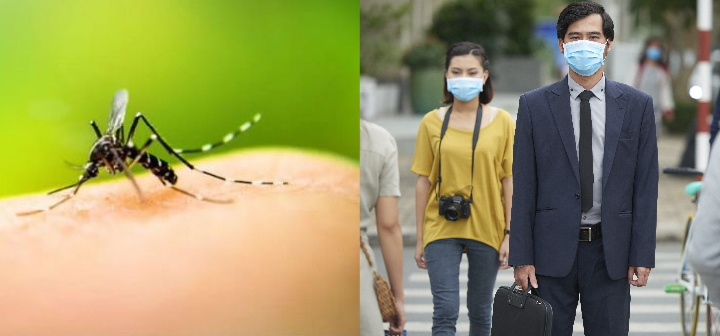 SATSAID SOLICITA A LAS EMPRESAS MEDIDAS PARA PREVENIR EL CONTAGIO DE DENGUE Y COVID-19